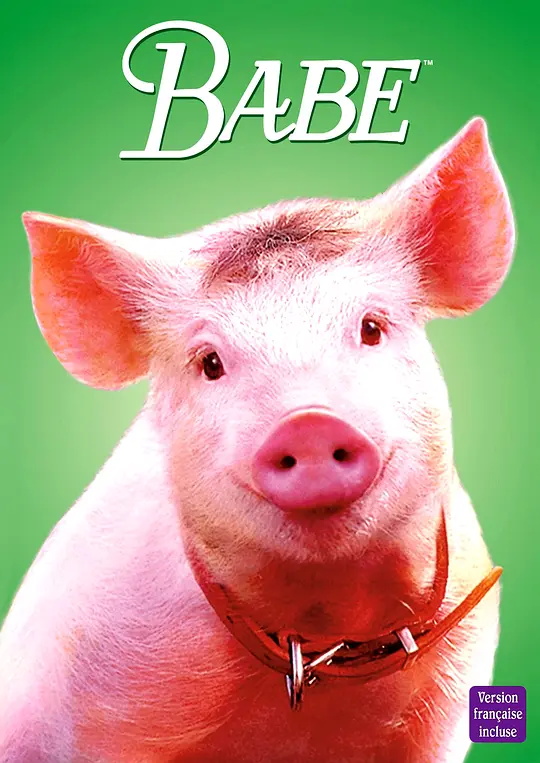 mkuxjj8q.png mkuxjj8q.png