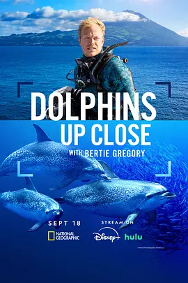 【4K纪录片】摄影师贝尔蒂与海豚零距离(2025).2160p.DSNP.WEB-DL.DDP.5.1.HDR10.H.265[4K高码HDR] [内封简繁中字]【5.09GB】