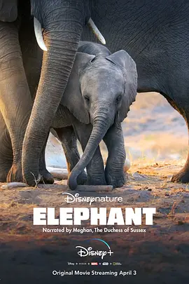 【4K纪录片】大象 Elephant (2020).2160p.DSNP.WEB-DL.DDP5.1.Atmos.H265.HDR.DV.3Audio[杜比视界] [国粤英三语] [内封简繁中字]【10.27GB】
