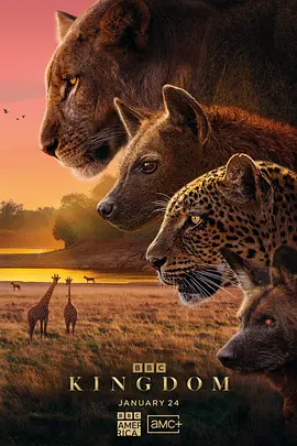 【4K纪录片】BBC 动物王国 (2025).WEB-DL.HD.HEVC.AAC[6集全] [国英双语+内嵌中英双字]【11.49GB】
